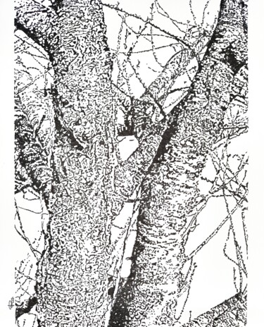 Drawing titled "Albero d' inverno 2" by Pasquale Luzzo, Original Artwork, Ink