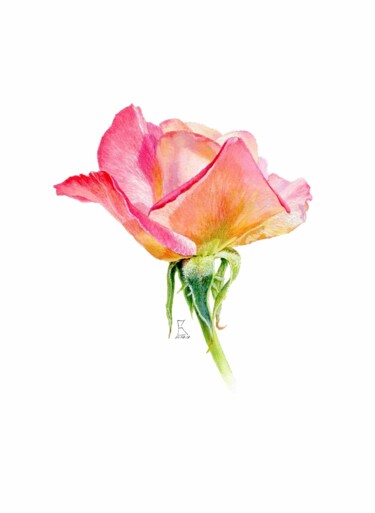 Картина под названием "ROSE BUD" - Vasilisa, Подлинное произведение искусства, Акварель