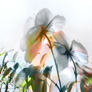 数字艺术 标题为“Fantasia de Flor 92” 由Alfonso García, 原创艺术品, 数码摄影