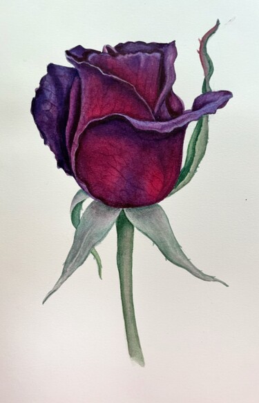 Dark rose Painting titled "Dark rose" by Sasha Solomon, Original Artwork, Watercolor
