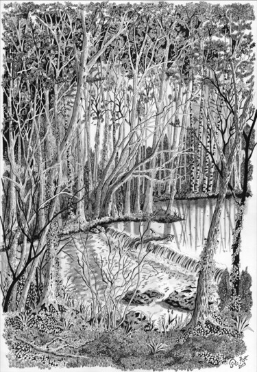 图画 标题为“Etang et forêt” 由Pic Art, 原创艺术品, 墨