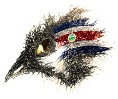 数字艺术 标题为“Pandemi Bird Costa-…” 由Johann Sidlo, 原创艺术品, 数字油画