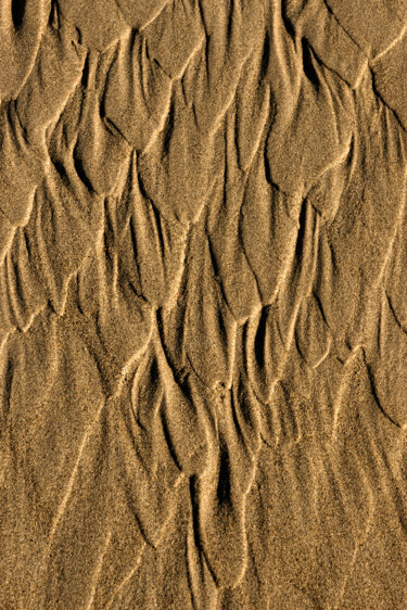 "Histoire de sable e…" başlıklı Fotoğraf Thierry Martin tarafından, Orijinal sanat, Dijital Fotoğrafçılık