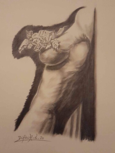 "Nature-elle." başlıklı Resim Laurence Dufour tarafından, Orijinal sanat, Grafit