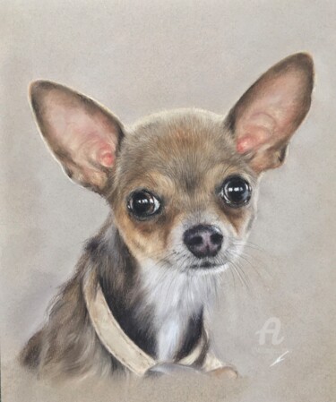 图画 标题为“Chiot” 由Irene_art, 原创艺术品, 粉彩