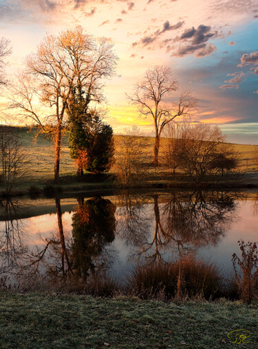 Photographie intitulée "Heure dorée" par Philippe Rozier (Photo-EOS), Œuvre d'art originale, Photographie numérique