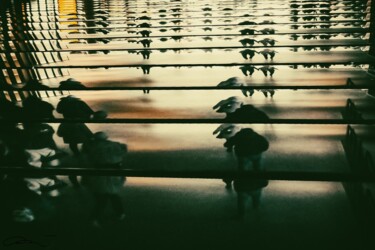 摄影 标题为“Caucus” 由Mélanie Stéphanie Massé Artiste, 原创艺术品, 光绘摄影