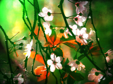 Inicio de Primavera Arts numériques intitulée "Inicio de Primavera" par Alfonso García, Œuvre d'art originale, Photographie numérique
