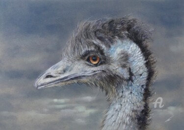 图画 标题为“Emu” 由Irene_art, 原创艺术品, 粉彩