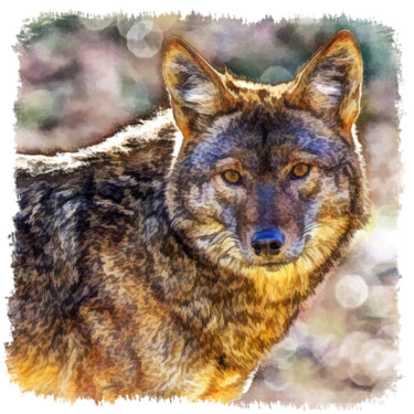 数字艺术 标题为“coyote” 由Fabrice Fouarge, 原创艺术品, 数字油画