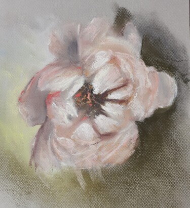 Pivoine I