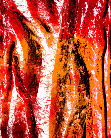 Photography titled "Barking Madly" by Gwendolyn Roth, Original Artwork, Digital Photography