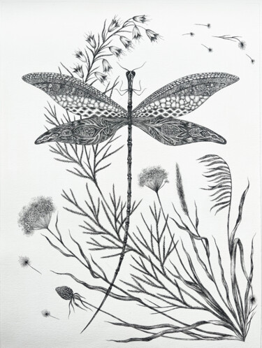 The Dragonfly "The Dragonfly" başlıklı Resim Anastasia Cherezova tarafından, Orijinal sanat, Mürekkep