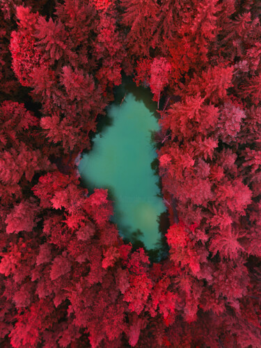 Fotografía titulada "Wilczy Staw" por Bartłomiej Machul, Obra de arte original, Fotografía digital
