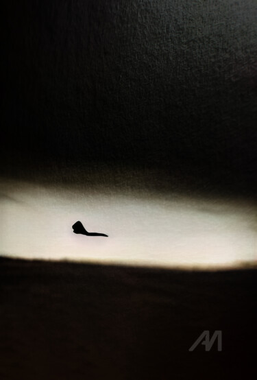 Artes digitais intitulada "Caiu Como Relâmpago" por V'Nian Purks, Obras de arte originais, colagem digital