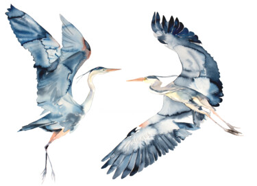 Herons in Flight 绘画 标题为“Herons in Flight” 由Elizabeth Becker, 原创艺术品, 水彩