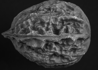摄影 标题为“Walnut” 由Boris Belkania, 原创艺术品, 数码摄影