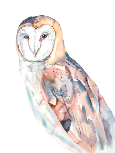 Barn Owl No. 7 绘画 标题为“Barn Owl No. 7” 由Elizabeth Becker, 原创艺术品, 水彩