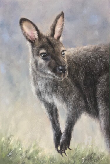 图画 标题为“Curious kangaroo” 由Irene_art, 原创艺术品, 粉彩