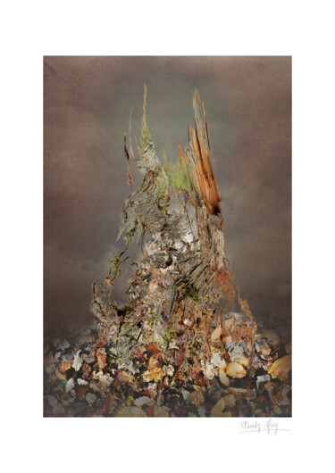 Fotografie mit dem Titel "Arbre 12" von Claude Huré, Original-Kunstwerk, Manipulierte Fotografie