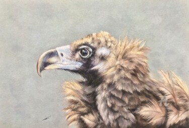 图画 标题为“Vulture” 由Irene_art, 原创艺术品, 粉彩