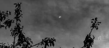 lune d'un matin brumeux depuis les champs