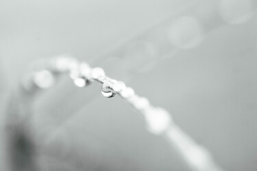 Photographie intitulée "Goutte 2" par Alisson Drubay, Œuvre d'art originale, Photographie numérique
