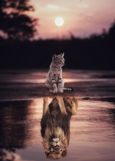 Tous les chats sont des lions dans leurs esprits 数字艺术 标题为“Tous les chats sont…” 由Rigaud Mickaël (Gen Z), 原创艺术品, 操纵摄影