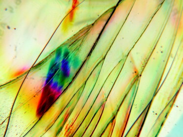 Fotografie mit dem Titel "blade" von Paula Funk, Original-Kunstwerk, Digitale Fotografie