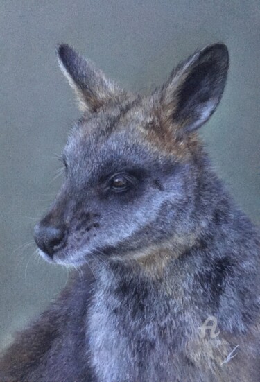 图画 标题为“Wallaby” 由Irene_art, 原创艺术品, 粉彩
