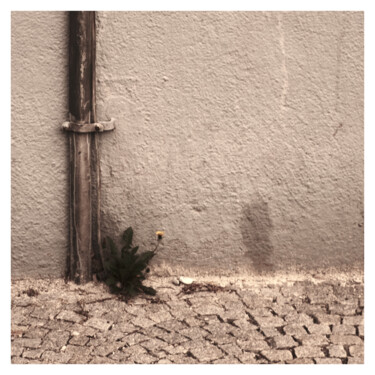 Photography titled "next to nothing" by Zheka Khalétsky, Original Artwork, Non Manipulated Photography