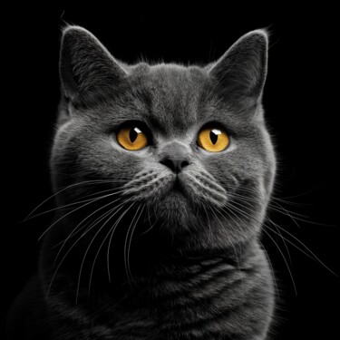 Digital Arts titled "British Cat" by Viktoriia Gladkova, Original Artwork, AI generated image