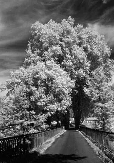 摄影 标题为“Route de campagne” 由Frédéric Duchesnay, 原创艺术品, 电影摄影