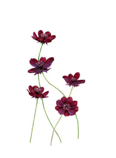 Cosmos Flowers Painting titled "Cosmos Flowers" by Sasha Solomon, Original Artwork, Watercolor