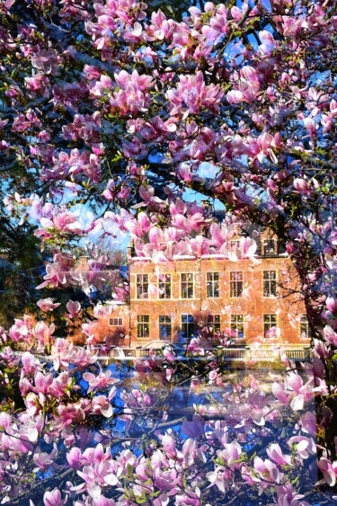 La petite maison 🏠 dans un jardin fleuri Fotografie getiteld "La petite maison 🏠…" door Alexandra Daoust, Origineel Kunstwerk, Digitale fotografie