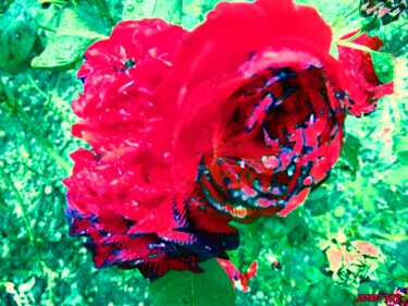 Digital Arts titled "The Mutation Point 1" by Lord Faz, Original Artwork, Digital Photography