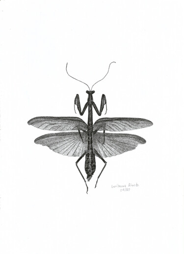 Drawing titled "INSETO Nº 4" by Guilherme Almeida, Original Artwork, Ink