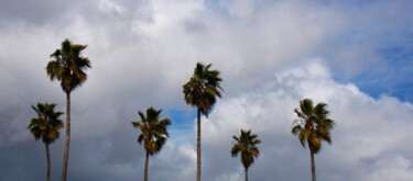 Photography titled "Breezy" by Troy Wilson-Ripsom, Original Artwork, Digital Photography