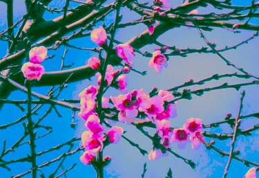 Arts numériques intitulée "Spring" par Troy Wilson-Ripsom, Œuvre d'art originale, Photographie manipulée