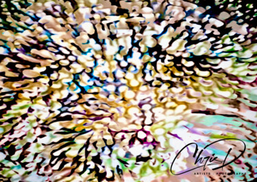 Digitale Kunst mit dem Titel "Sables mouvants" von Christelle Duval (Chris D.), Original-Kunstwerk, Digitale Fotografie