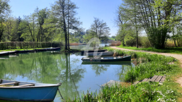 제목이 "Le lac d'Aiguebelet…"인 사진 Monique Pouzet로, 원작, 조작되지 않은 사진