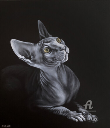 Painting titled "Portrait of Sphynx" by Olga Tsvetkova, Original Artwork, Oil