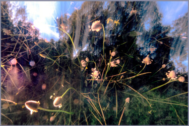 제목이 "Photosynthesis"인 사진 Julian Garcia-Viso로, 원작, 조작되지 않은 사진