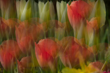 Photography titled "Collage" by Aurélien Comte, Original Artwork, Digital Photography