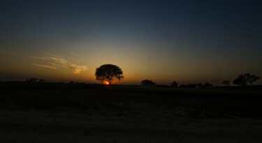 摄影 标题为“Lone Tree at the Su…” 由Goutam Chakraborty, 原创艺术品, 数码摄影