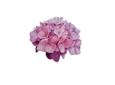 Peinture intitulée "Hydrangea" par Katerina Slastin, Œuvre d'art originale, Aquarelle