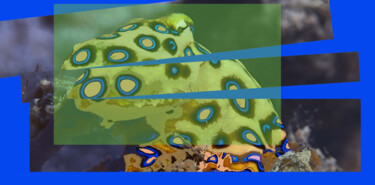 Arts numériques intitulée "Octopus attentif av…" par Pascal Maupas, Œuvre d'art originale, Photo montage