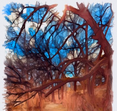 Photography titled "Light in the Woods…" by Elizabeth Austin, Original Artwork, Manipulated Photography
