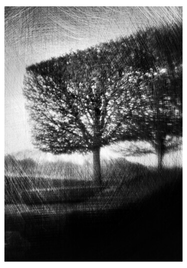 Photographie intitulée "Expérimentation #4…" par Olivier Pasquiers, Œuvre d'art originale, Photographie non manipulée