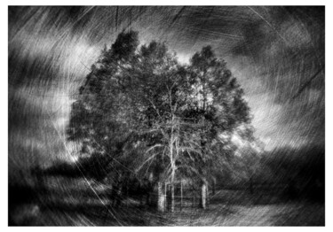 Photographie intitulée "Expérimentation #6…" par Olivier Pasquiers, Œuvre d'art originale, Photographie non manipulée